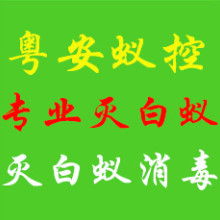 專業白蟻防治服務——廣州佳潔害蟲防治公司，守護您的安居環境