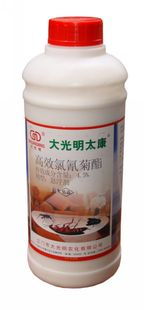 清遠堅文白蟻防治 一次滅絕，永無后患的專業守護